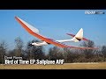 Great Planes Bird of Time EP Sailplane ARF - Model Aviation magazine