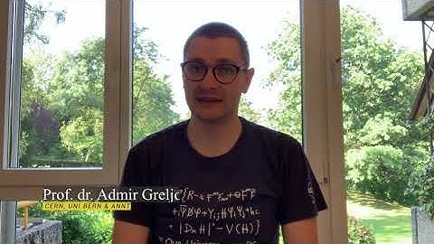 3MT Judges: Prof. dr Admir Greljo