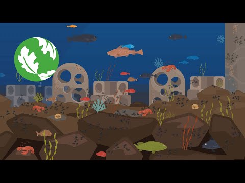 A Look Underseas