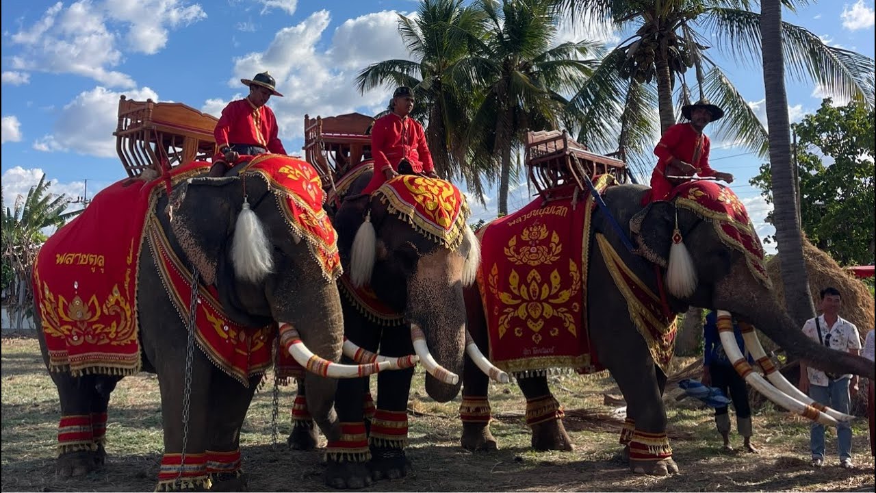 หนุ่มเสกตูลู💢ขวัญเมือง‼️แต่งหล่อพร้อมแห่💢งานนี้ขาดใคร