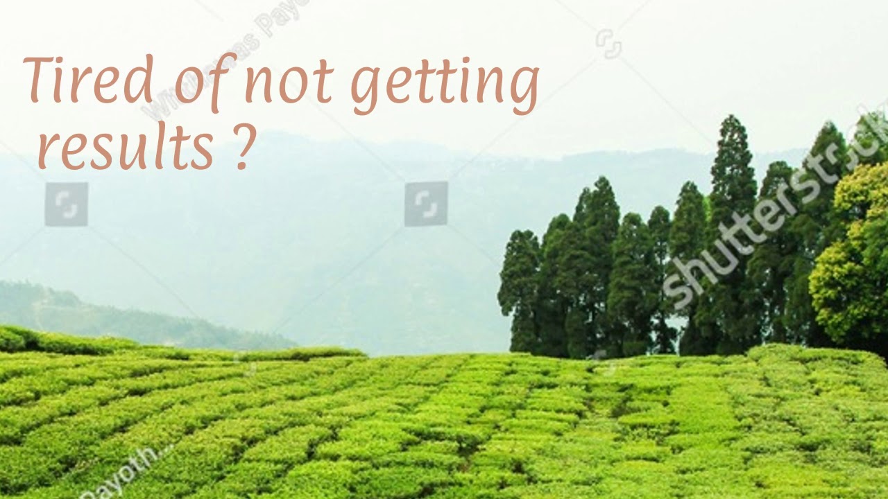 How to lose Weight ? | Fat Belly Brun | RED TEA DETOX