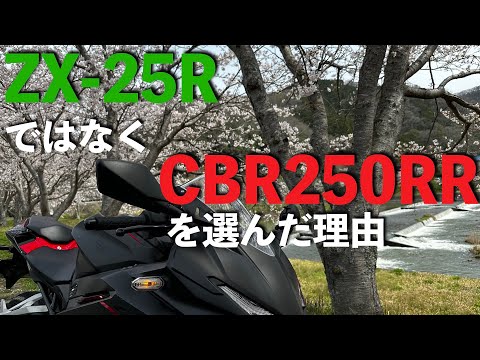 ZX-25R or CBR250RR】ニダボを選んだ3つの理由 - YouTube