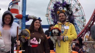 ConeyIsland Halloween Dog Parade!
