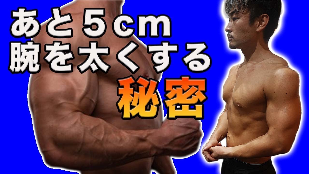 かっこいい腕 10cm腕を太くするためのトレーニング方法 Youtube