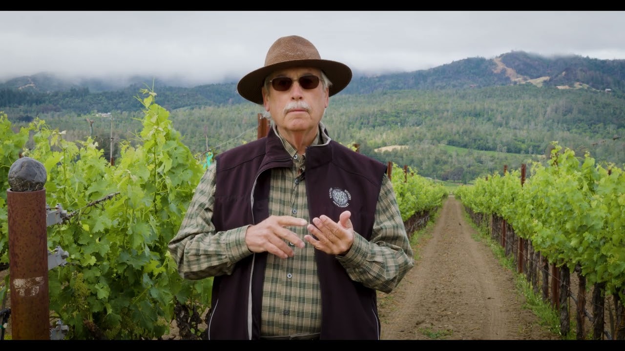 2010 Vittorio's Vineyard Cabernet Sauvignon - Double Magnum | V