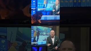 Cat 'star-struck' as weather presenter calls her through the TV | #catlife