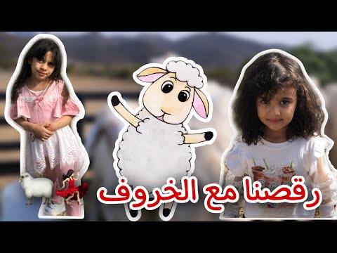 ماء ماء مين اللي بيعمل كده ت مع الخروف