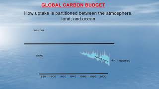Andrew Watson: Why we need GO-BGC-Argo for the global carbon budget