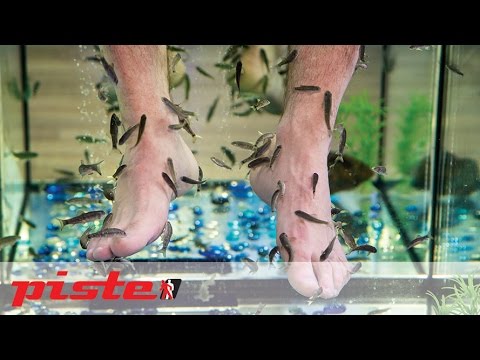 Video: Wie Bekommt Man Massagefische