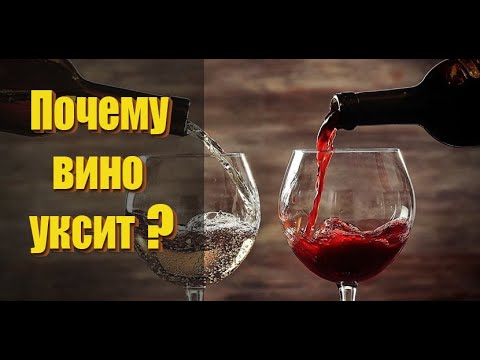 Почему вино уксит и что сделать, чтобы вино не уксило!
