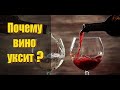 Почему вино уксит и что сделать, чтобы вино не уксило!