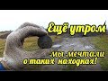 Ещё утром мы мечтали о таких находках КОП 2019