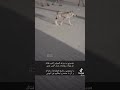 هددوني بالذيب ف الجبل فتاك