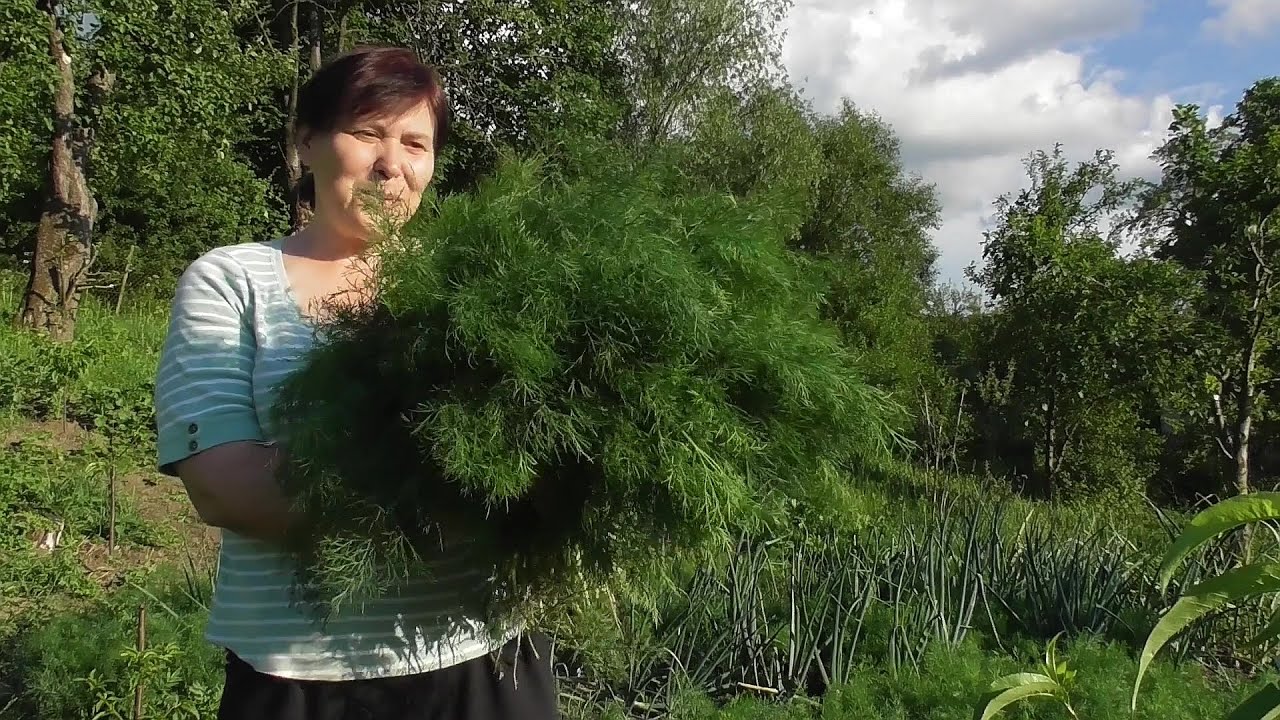 ОТАКІ ПЕРЕСЕЛЕНЦІ...  Що роблять переселенці  #українською #