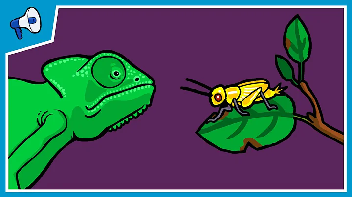 What is Natural Selection?