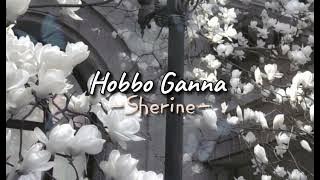 Hobbo ganna - [ speed up ]