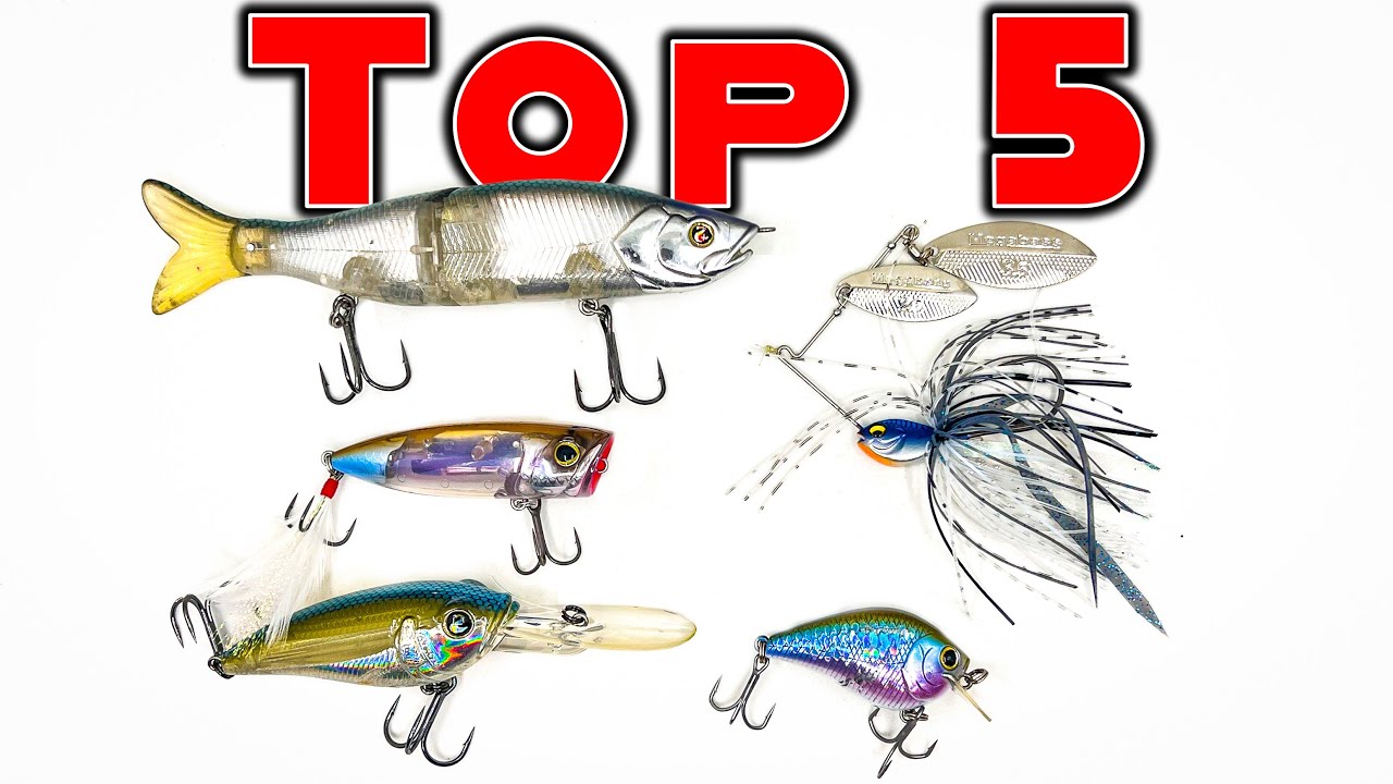 The 5 Best Bass Lures and Baits