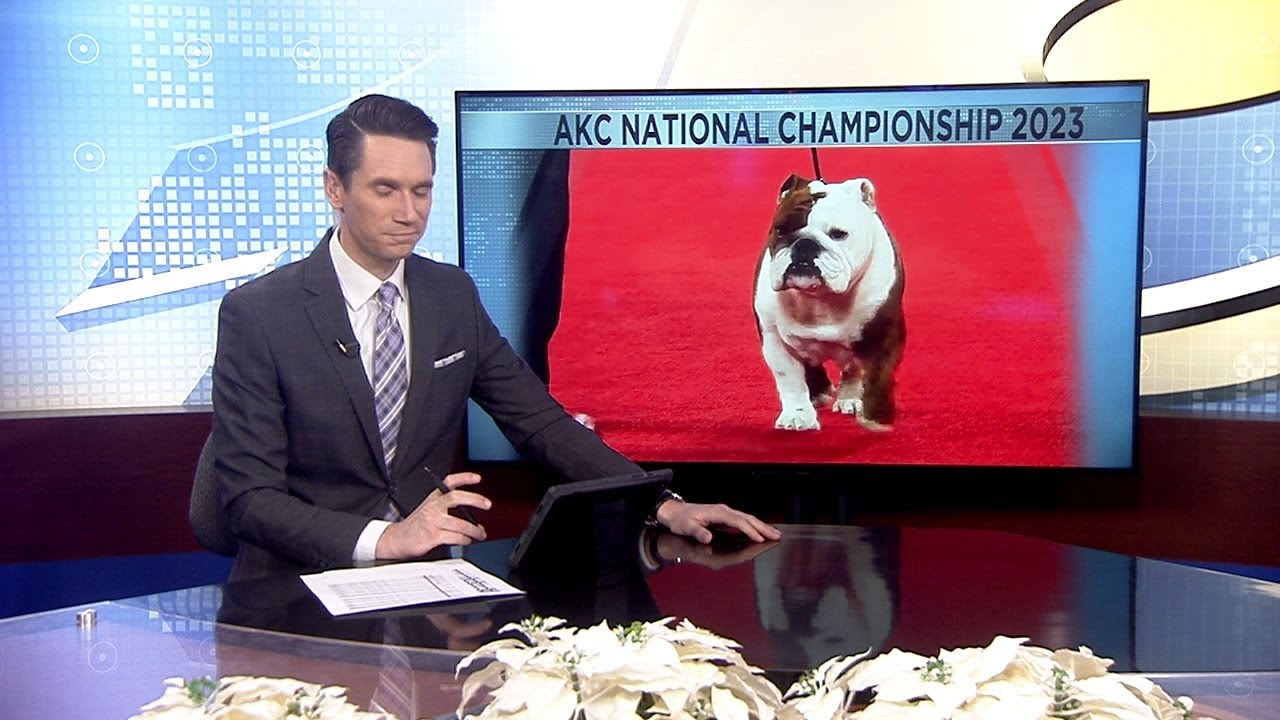 2023 American Kennel Club National Championship happening this weekend ...