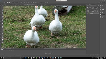 Photoshop 101 - Using the Healing Brush, Patch Tool and Clone Stamp