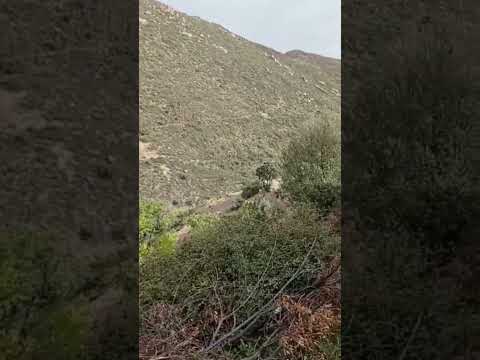 اسمار الا هيا من لحجل في جبل نعيش Shorts Shortvideo Short 