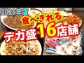 【まとめ】食べきれないデカ盛に用はない！「たべきれるデカ盛１６店舗」