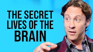 The New Structure of Infinite Possibility | David Eagleman on Impact Theory