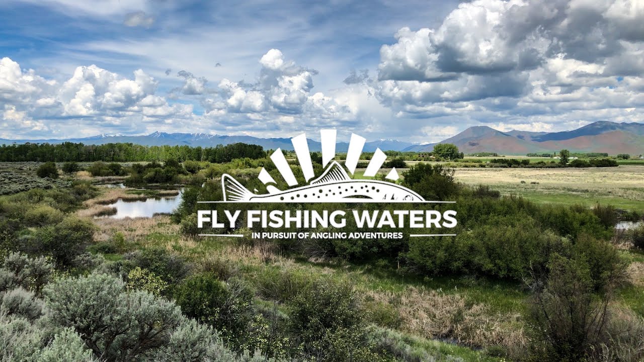Fly Fishing Silver Creek at the Silver Creek Preserve in Picabo, Idaho