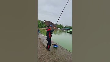 khi cá ham mồi, kích là lụm luôn #cauca #dungnguyenfishing #caucatramden #caucatramden #fishing