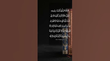 القارئ الشيخ غسان الشوربجي