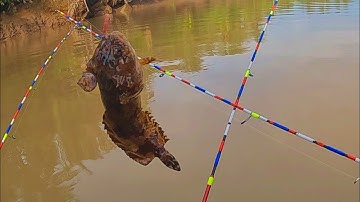 Tập 159: câu tôm cá, nước vừa đứng lớn thì tôm anh mạnh