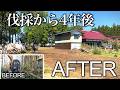 【遂に完了!!】伐採から4年。ようやく敷地の整地が完了しました!【古民家再生403】 Restoration of old houses and country life