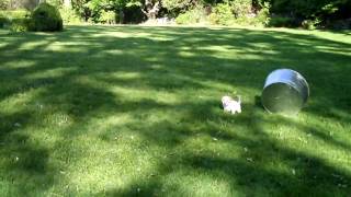 Zi6_0111.MOV