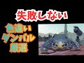 Pokémon LEGENDS Z A 失敗しない 色違いダンバル メタング 厳選方法