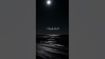 سورة الإخلاص || القارئ فارس عباد. #القرآن_الكريم #دعاء #راحة_نفسية #لا_اله_الا_الله #comment #quran