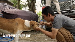 We’re all in, for them | Battersea and Jai Dog by Battersea Dogs and Cats Home 1,492 views 1 month ago 2 minutes, 17 seconds