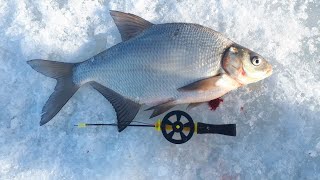 Достойное закрытие зимней рыбалки  Март  Шатурские озера