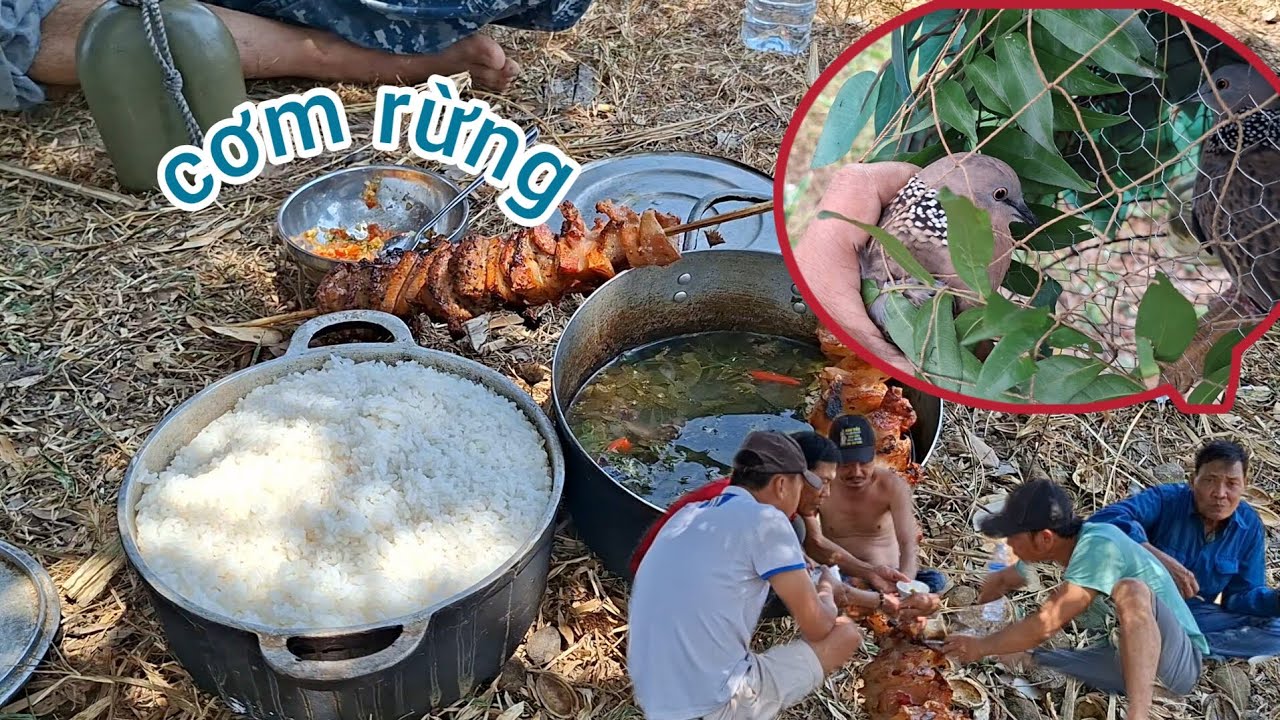Khai xuân đi bẫy cu đất,trãi nghiệm bữa cơm rừng đầu năm