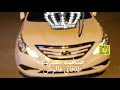 صمخة هجولة مصرية طلقاتى ف الوش استكنان طربية مطلوب أكثر شيء ترند 2026 