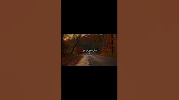 خلاص انت ملكتيني بدون موسيقي بدون موسيقى 