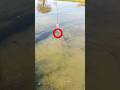 Genius idea to take water out from the river.