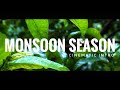 Monsoon Season Cinematic Intro Shaunak Patel