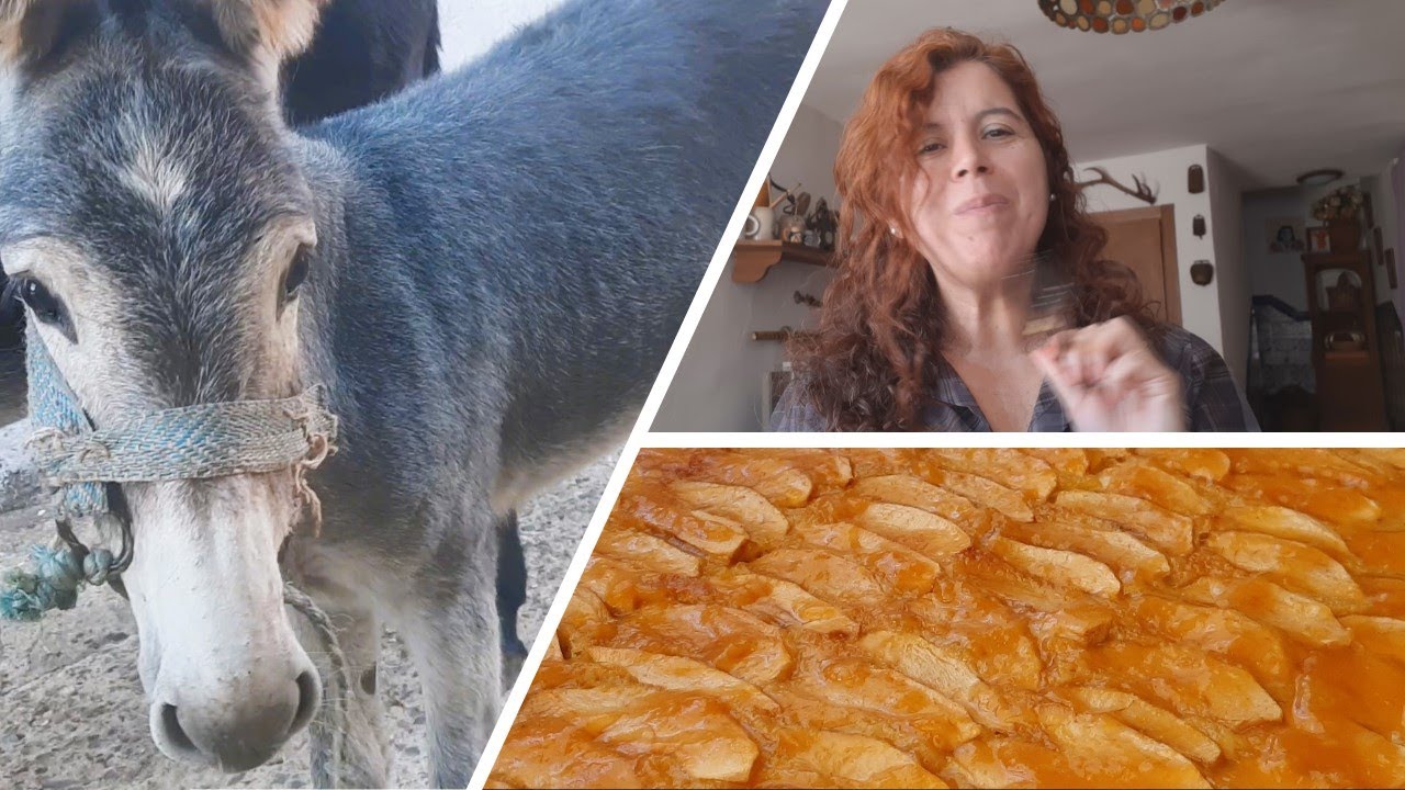 Secreto familiar *Tarta de manzana* En la cocina de mi hermana+Platera viene