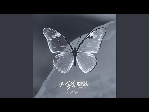 新鸳鸯蝴蝶梦