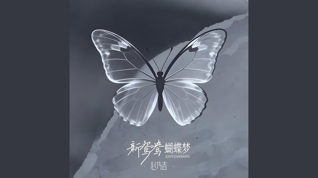 新鸳鸯蝴蝶梦