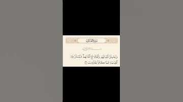 من سورة العنكبوت(وليحملنّ أثقالهم وأثقالاً مّع أثقالهم)🌿💓