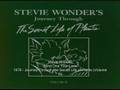 Stevie Wonder - Outside My Window