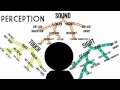 Sensation & Perception: Information Processing in the Brain