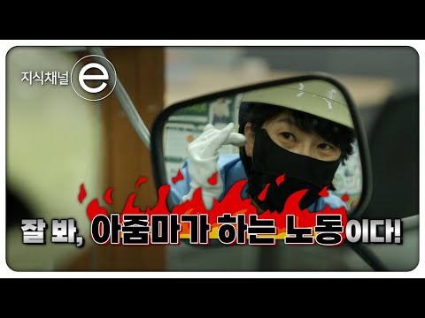 길에서 보면 괜히 반가운 이 사람을 탐구해봤습니다 │지식채널e