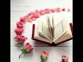 قرآن ربي       عمار صرصر حالتي