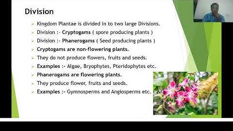 INTRODUCTION TO PLANT TAXONOMY/ SYSTEMATICS